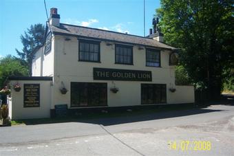 Golden Lion