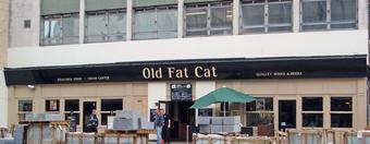 Old Fat Cat
