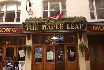 Maple Leaf