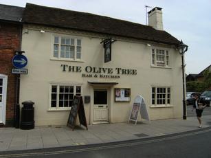 Olive Tree