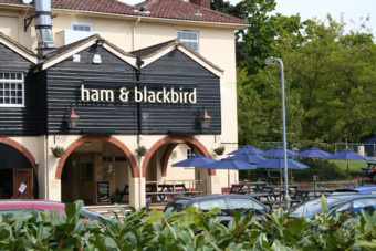 Ham and Blackbird