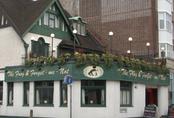 picture of The Frog and Forget-Me-Not, Clapham