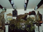 picture of The Hole int' Wall / New Hall Inn, Bowness on Windermere