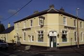picture of The Partridge, Partridge Green