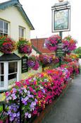 picture of The Builders Arms, New Barnet