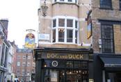 picture of The Dog and Duck, Soho