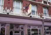 picture of The Duck, Battersea