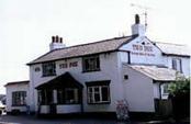 picture of The Fox, Newfound
