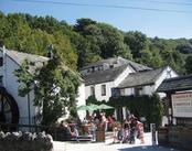 picture of The Crumplehorn Inn, Polperro