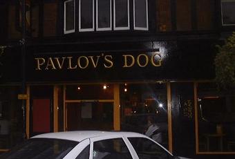 Pavlov's Dog