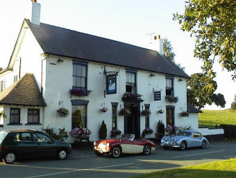 Swan at Marbury