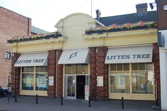 Litten Tree