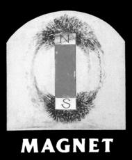 Magnet