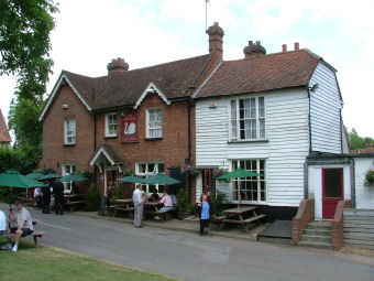 Swan on the Green