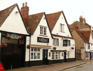 Blue Boar