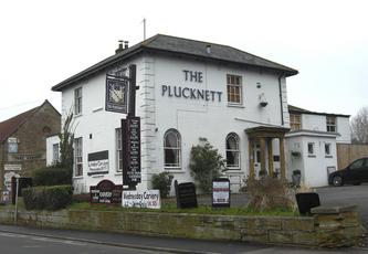 Plucknett