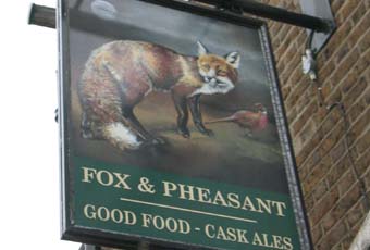 Fox and Pheasant