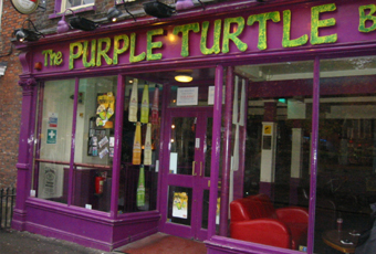 Purple Turtle