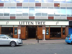 Litten Tree