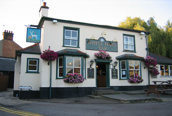 White Hart Tap