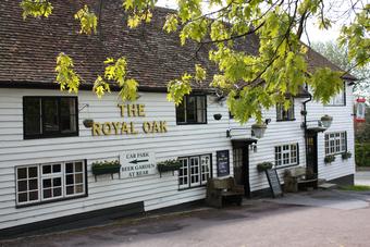 Royal Oak