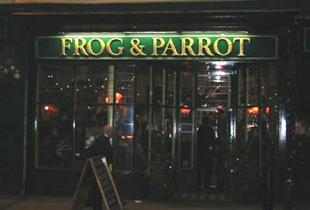 Frog and Parrot