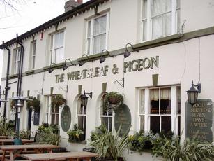 Wheatsheaf and Pigeon