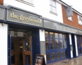 Greyhound